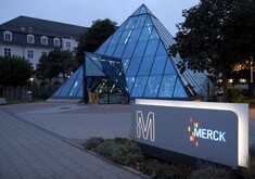 hang-merck-banner