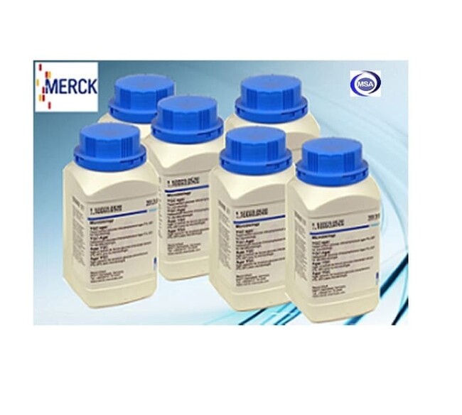 merck-nguyen-duong-31.jpg