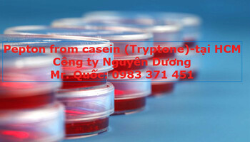 pepton-from-casein-1-0983371451