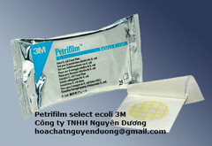 petrifilm-select-ecoli-cty--nguyen-duong1